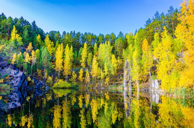 Forêt d'automne au bord d'un lac de montagne.