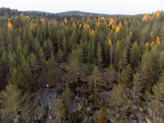 La forêt d'automne au sommet de la colline d'en haut La vue du parc Ruskeala depuis le drone