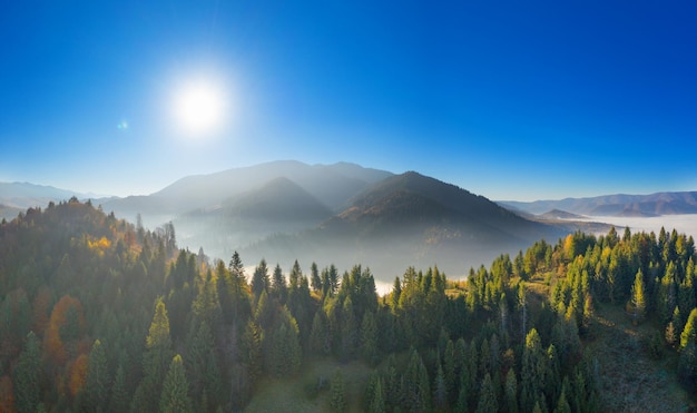 Forêt d'automne à l'aube avec des nuages bas.