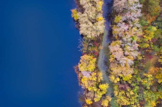 Forêt d'automne colorée avec des arbres sur la rive d'un fond de lac bleu - vue aérienne du dessus.