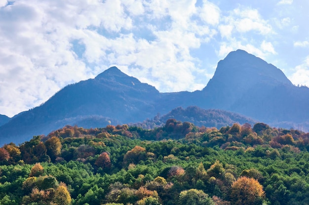 Forêt d'automne dans les montagnes