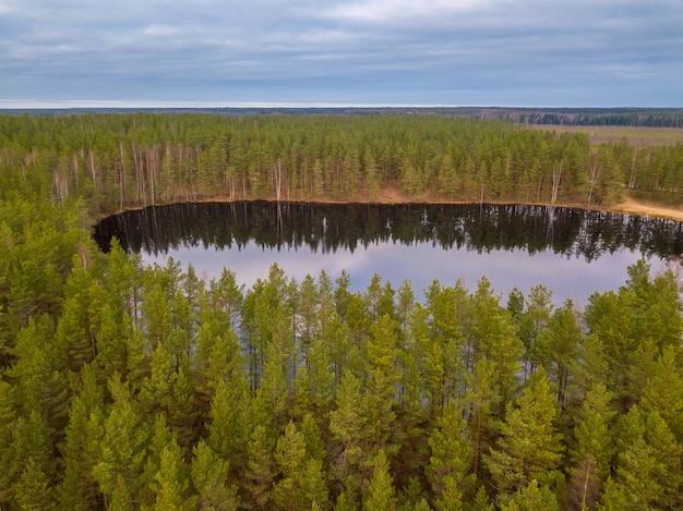 Forêt. Automne du Nord. Petit lac parmi les pins. Vue aérienne