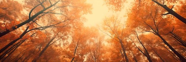 Forêt d'automne avec des feuilles de différentes nuances de couleur pêche créant une toile de fond chaleureuse et confortable