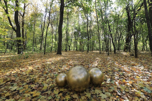 forêt d'automne avec des feuilles mortes, boules dorées décoratives