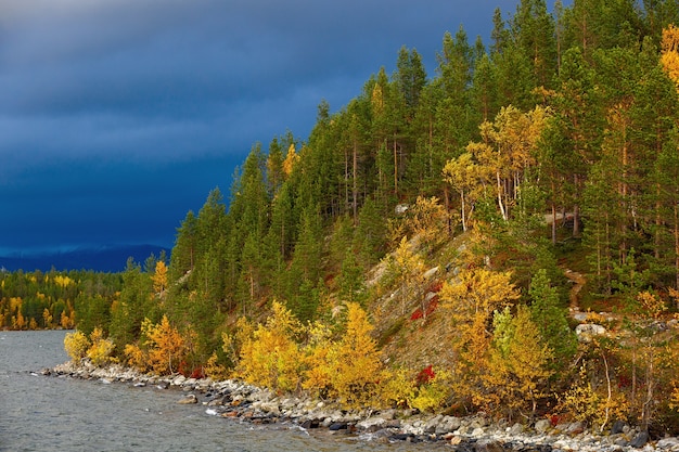 Forêt d'automne à flanc de colline au bord du lac.