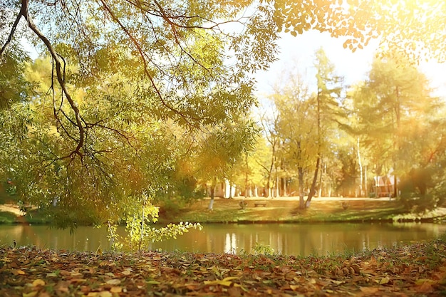 forêt d'automne nord / paysage dans la forêt d'automne, nord, vue sur la nature en automne