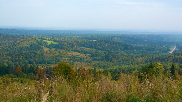 Forêt d'automne et nuages d'une vue à vol d'oiseau.