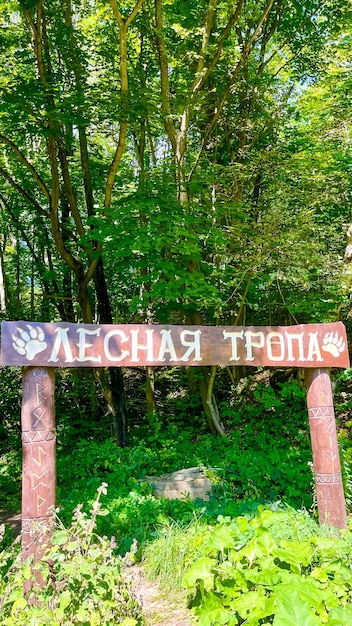 Forêt aux beaux jours, inscription en russe - chemin forestier, photo verticale