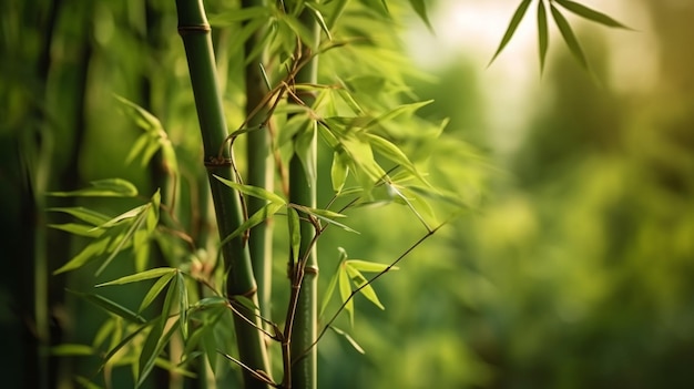 Forêt de bambous et herbe de prairie verte avec lumière naturelle AI générative