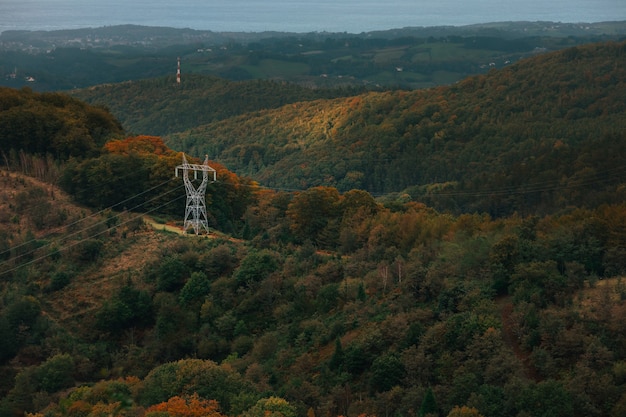 forêt basque aux couleurs d'automne.