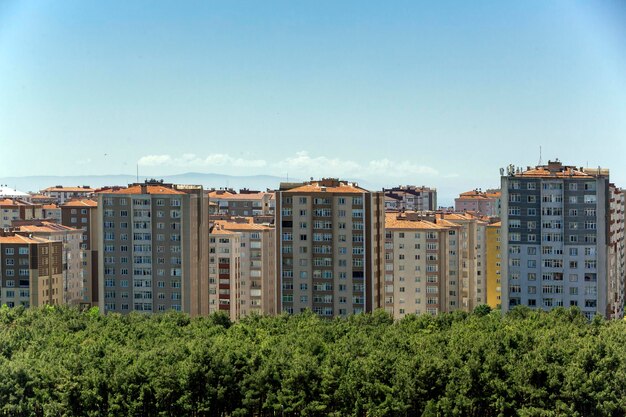 Forêt et bâtiments