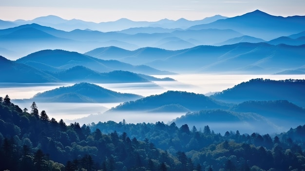 forêt Blue Ridge Mountains illustration automne arbre automne voyage extérieur colline forêt Blue Ridge Mountains