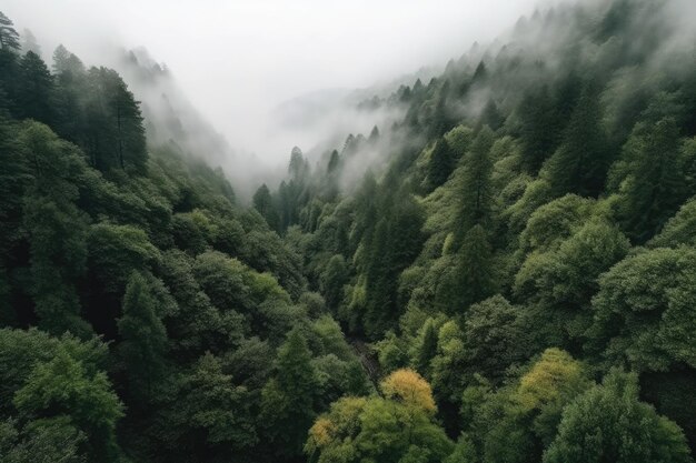 Une forêt brumeuse avec une forêt au premier plan et un arbre au premier plan Generative AI