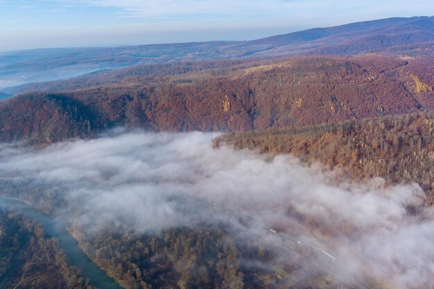 Forêt brumeuse sur le versant de la montagne dans une nature étonnante