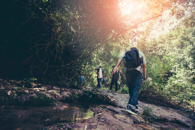 Forêt et cascade de voyage de sac à dos de jeune homme