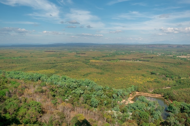 Forêt et champ avec grand étang