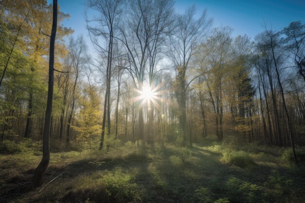 Forêt avec ciel bleu clair et soleil brillant sur les arbres créés avec ai générative