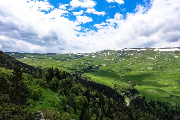 Une forêt debout près des rochers surplombant les prairies alpines Le plateau de LagoNaki à Adygea Russie 2021