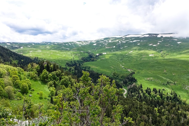 Une forêt debout près des rochers surplombant les prairies alpines Le plateau de LagoNaki à Adygea