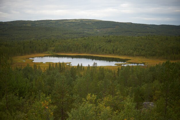 Forêt du nord belle nature étonnante