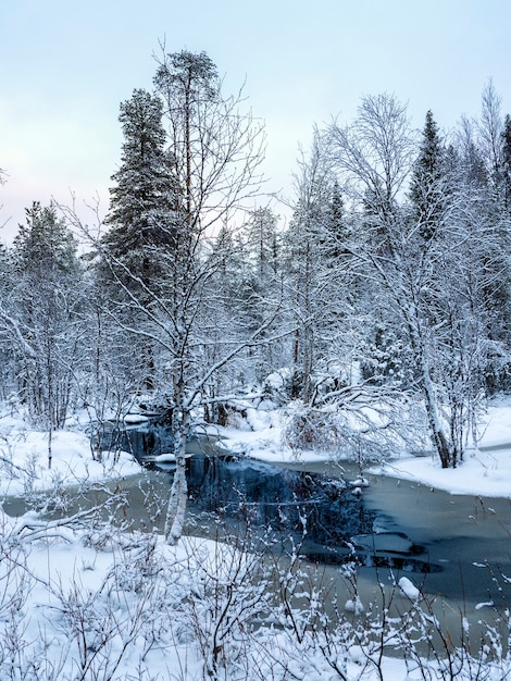 Forêt du Nord enneigée d'hiver avec rivière un jour polaire.