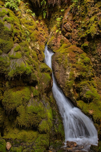 Forêt enchantée du higueral à pozo alcon