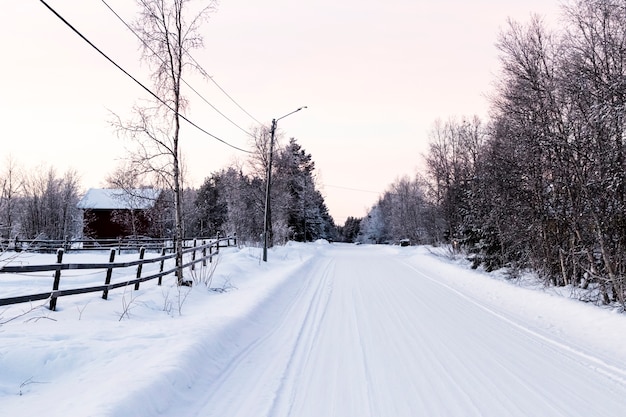 Forêt enneigée au nord de la Suède