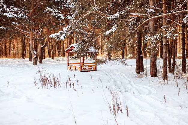 Forêt enneigée avec paysage d'hiver gazebo