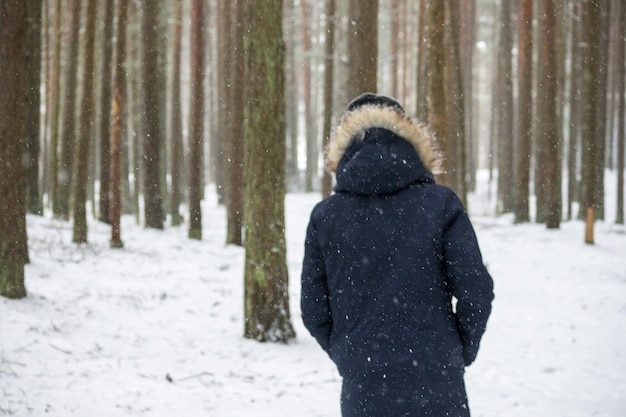 Une forêt enneigée avec des troncs d'arbres bruns et une personne vêtue d'une veste bleu foncé