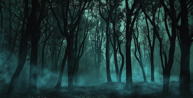 La forêt est un paysage effrayant la nuit. L'arrière-plan de la forêt d'Halloween est fantastique.