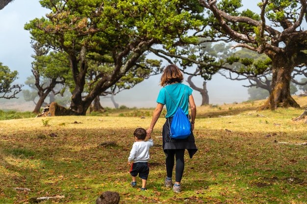 Forêt de Fanal à Madère mère avec son fils s'amusant parmi les lauriers en été