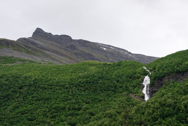 Forêt à flanc de montagne, Norvège