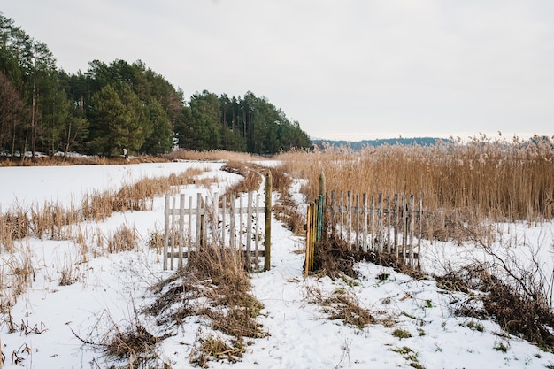 Forêt en hiver près du lac avec un petit pont pour la pêche Pêche d'hiver sur l'étang de glace