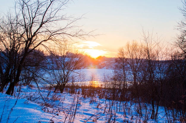 Forêt d'hiver et rivière couverte de neige au coucher du soleil