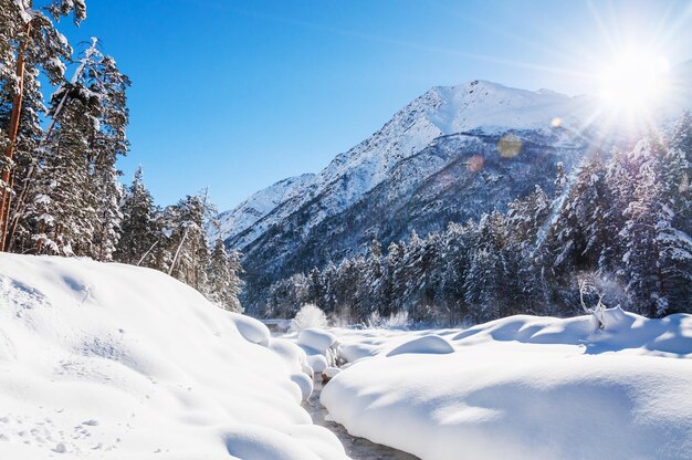 Forêt d'hiver et rivière de montagne aux beaux jours. Beau paysage d'hiver.