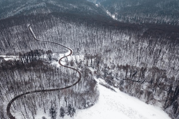 Forêt d'hiver et route. Vue de dessus.