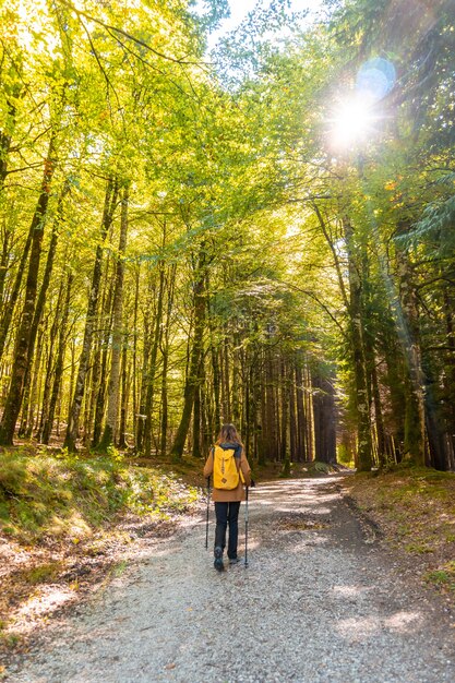 Forêt d'Irati ou jungle en automne, un jeune randonneur sur un sentier de pins. Ochagavia, nord de la Navarre en Espagne