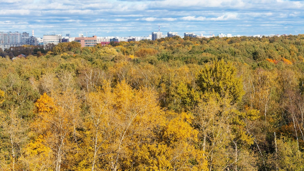 forêt MIYAWAKI, forêt urbaine