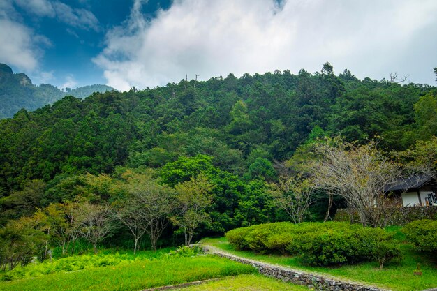 La forêt et les lacs de montagne Mingchi Yilan County Taiwan est une célèbre attraction touristique