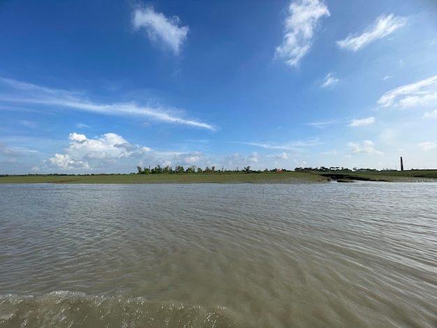 Photo forêt de mangroves avec une magnifique plage