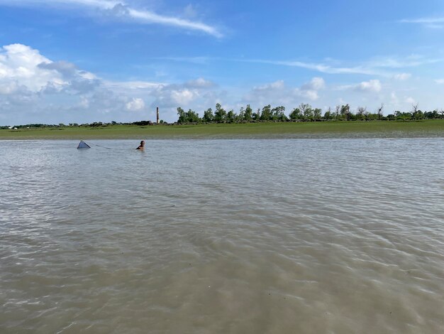 Photo forêt de mangroves avec une magnifique plage