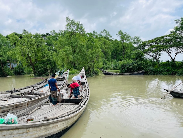 Forêt de mangroves avec une magnifique plage