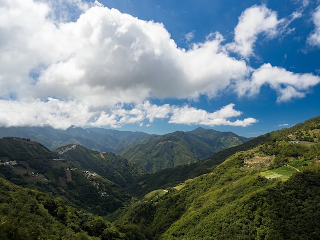 Forêt de montagne verte à Taïwan.