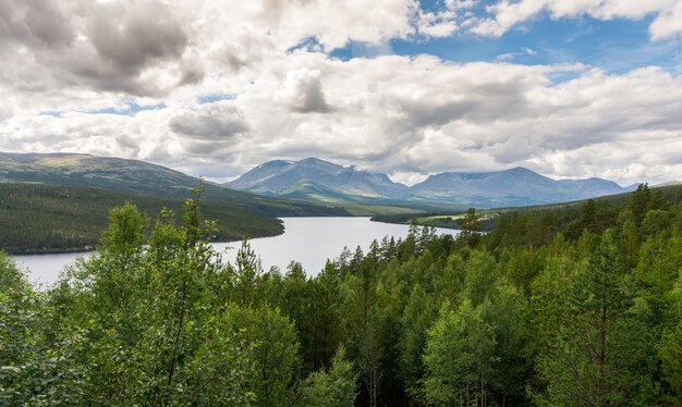 Forêt et montagnes dans le parc national de Rondane, Norvège