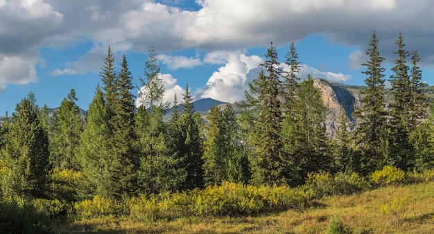 Forêt de montagnes et nuages sur un ciel bleu