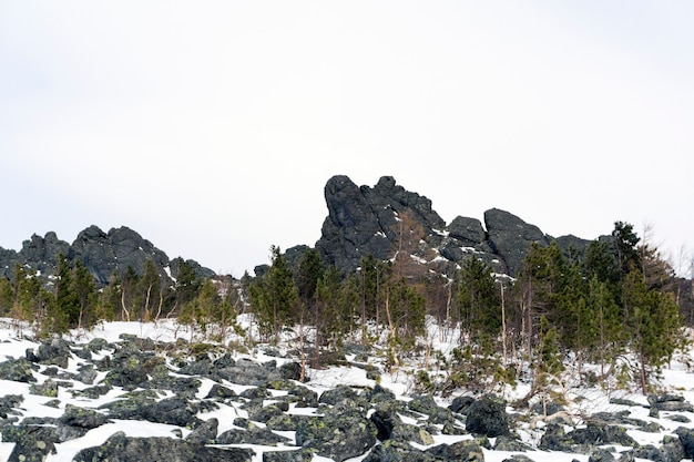 Forêt naine tordue au pied des rochers de granit dans les hautes terres en hiver