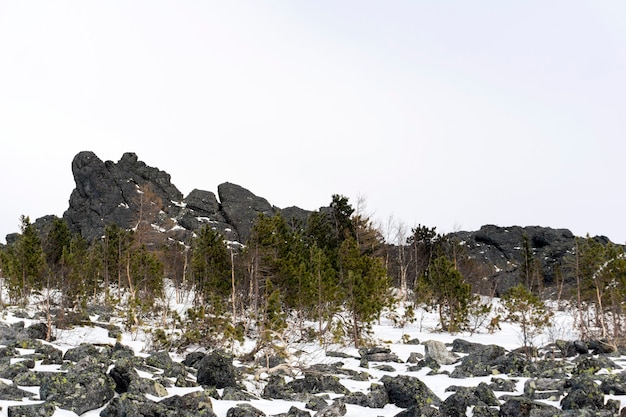 Forêt naine tordue au pied des rochers de granit dans les hautes terres en hiver