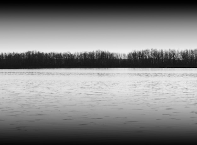 Forêt noir et blanc près de la rivière fond de paysage hd