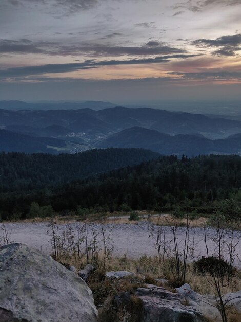 Photo forêt noire en allemagne