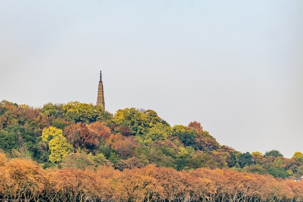 Photo forêt et paysage de montagne